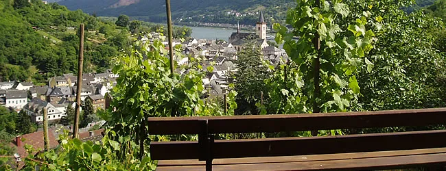 Weinberge in den Steillagen am Rhein
